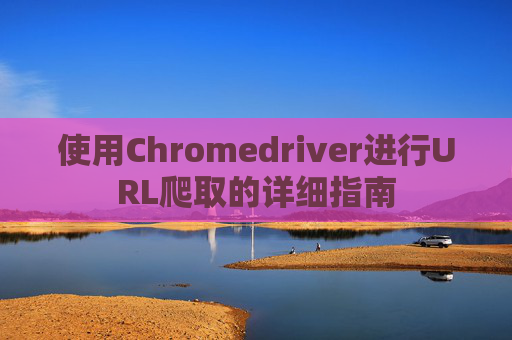 使用Chromedriver进行URL爬取的详细指南